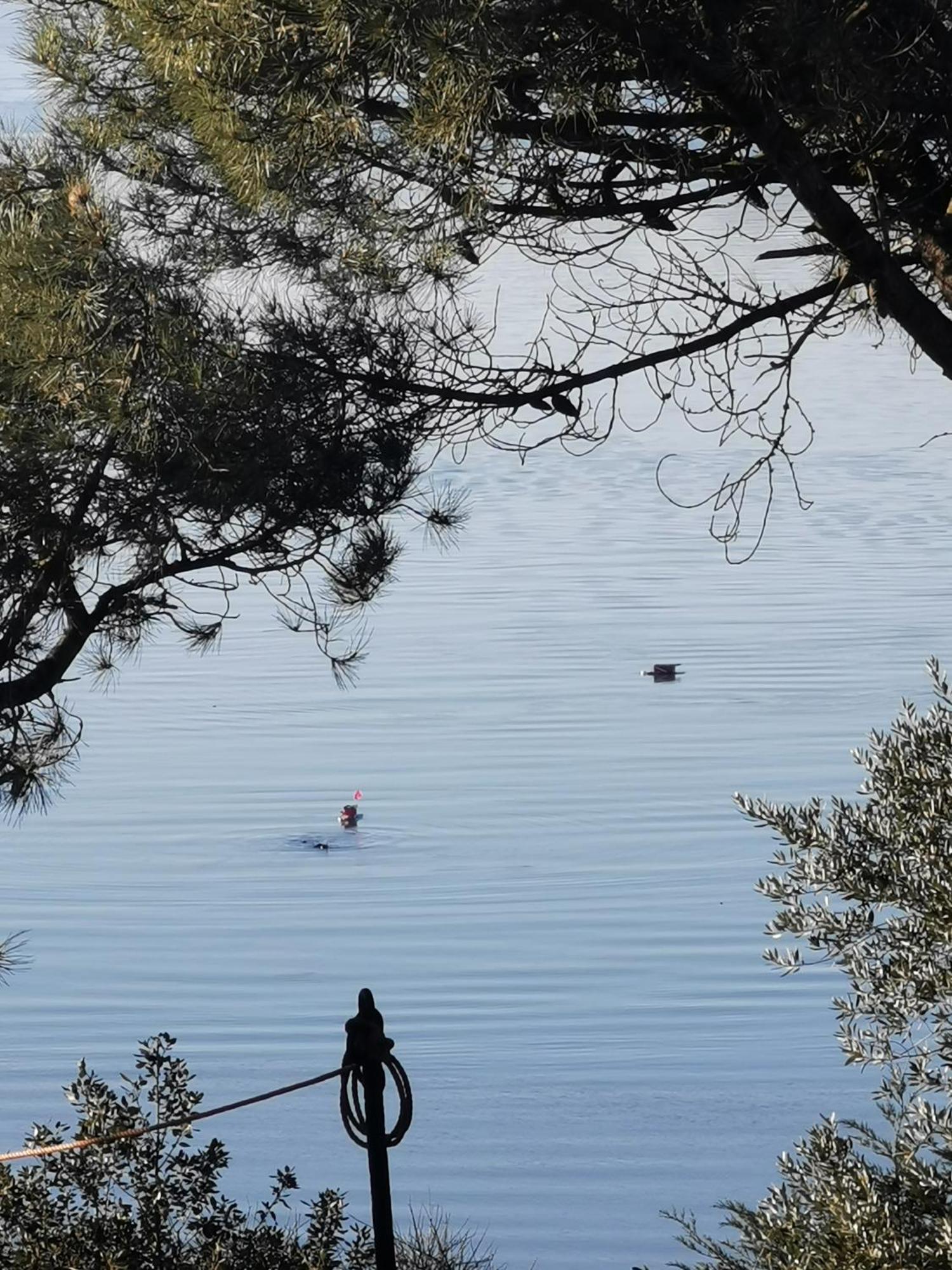 생말로 Les Pieds Dans L'Eau 아파트 외부 사진